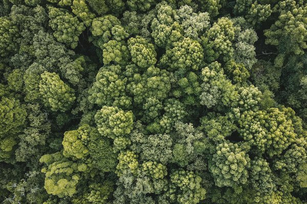 L'Impact des Nouveaux Hits Musicaux sur l'Évolution de la Culture Pop